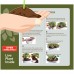 Brussel's Green Mound Juniper Bonsai Kit (Outdoor) Not Available in California   567271343